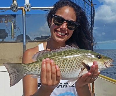 Offshore and Reef Fishing Islamorada