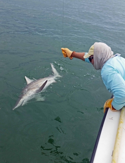 Offshore and Reef Fishing Islamorada