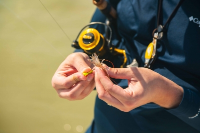 Offshore and Reef Fishing Islamorada