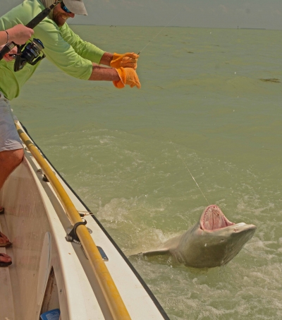 Offshore and Reef Fishing Islamorada