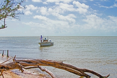 Offshore and Reef Fishing Islamorada