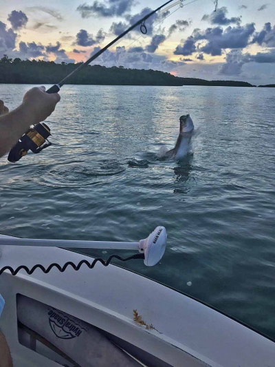 Islamorada Backcountry Fishing