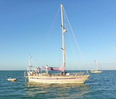 Offshore and Reef Fishing Islamorada