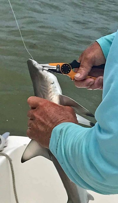 Islamorada Backcountry Fishing